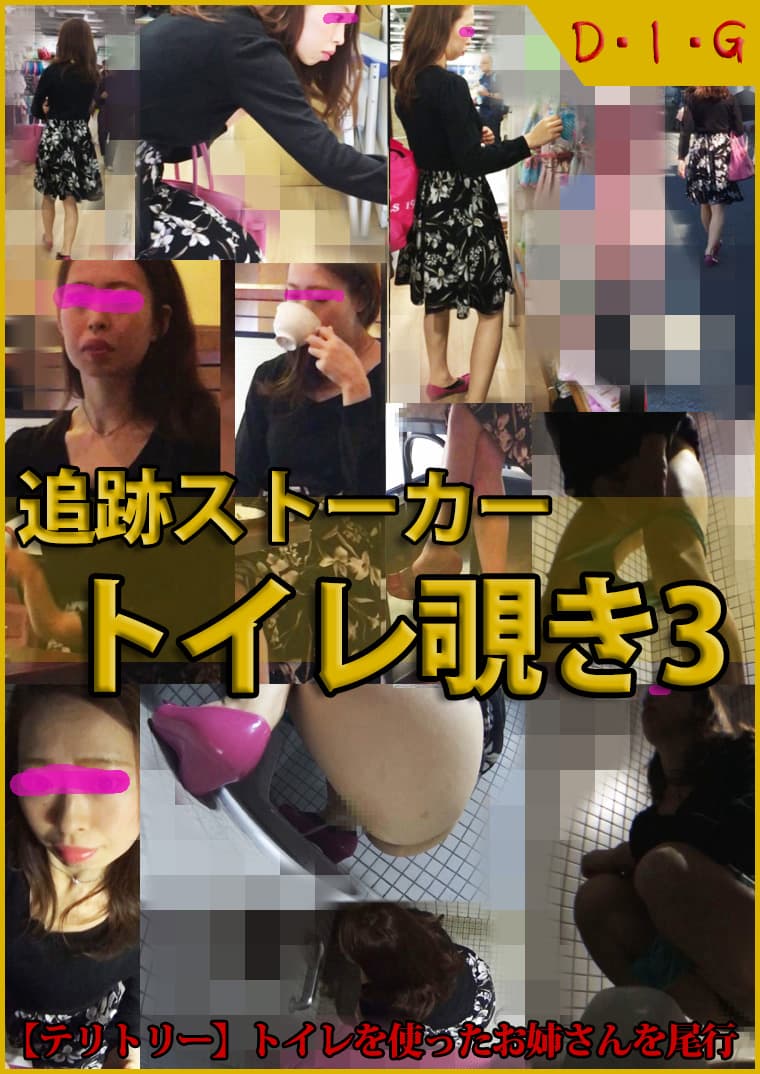 追跡ストーカー・トイレ覗き3【委託作品】D.I.G