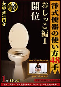 洋式便器の使い方48手　おしっこ編1