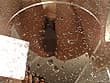 行列の出来る顔出し素人便器 ガールズおしっこパレ～ド サンプル画像 4