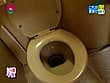 スカウト即ハメ超絶テク！これがAV面接だ！（13） サンプル画像 5