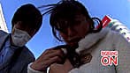 羞恥！野外腰砕け！激ヤバ・ビッグバンローターをマ○コに入れて 潮吹きアクメデート！ 10 二宮沙樹 サンプル画像 7