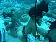 AQUA SEX3 南の島でサバイバルFUCK！ サンプル画像 18