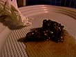 穴の汚物臭辺マニア御用達 アナダス！！ アナタの汚物を味見したい。 サンプル画像 10