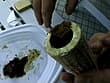 穴の汚物臭辺マニア御用達 アナダス！！ アナタの汚物を味見したい。 サンプル画像 13