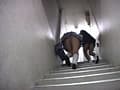 おもらし52 サンプル画像 7