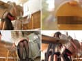 もしもトイレという概念や羞恥が無い世界だったら３ サンプル画像 6