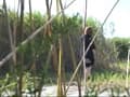 野外放尿○撮 サンプル画像 10