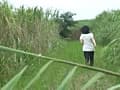 野外放尿してる女を隠し撮りした後、マ○コをさわる！DX サンプル画像 3