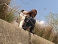 野外放尿する女たち サンプル画像 13