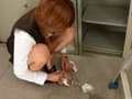 庶務課のおもらし女 サンプル画像 6