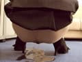 面接中に漂う失禁の香り サンプル画像 8