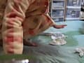 おねしょ手帳 サンプル画像 4