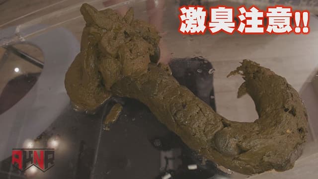 今日たくさんウンチでるかな… 初瀬かのん サンプル画像 10