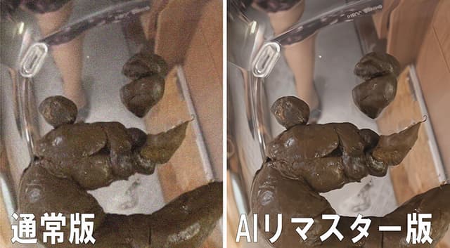 【AIリマスター版】素人ナンパトイレ号がゆく 外伝 東京熟女脱糞プレミア III ココでしか見られない！S級熟女達の初脱糞！！ サンプル画像 4