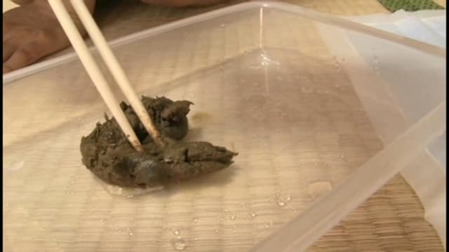素人うんち倶楽部 4 糞便まみれ ここは一線を超えた大人の社交場。 サンプル画像 7
