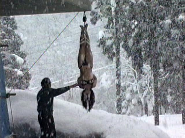 ○縛妻 極寒雪○め サンプル画像 4