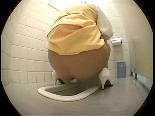 首都圏トイレ盗撮 完全ナマ撮り×排泄シーン多数 サンプル画像 1
