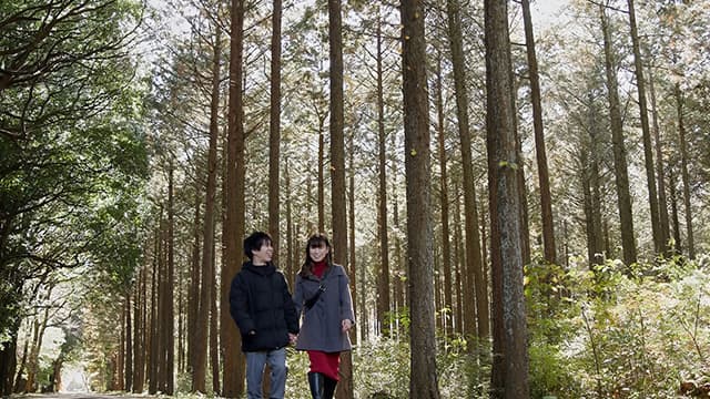 【配信限定特別版】母子交尾 ～女峰山路～ 渋沢紅 サンプル画像 15