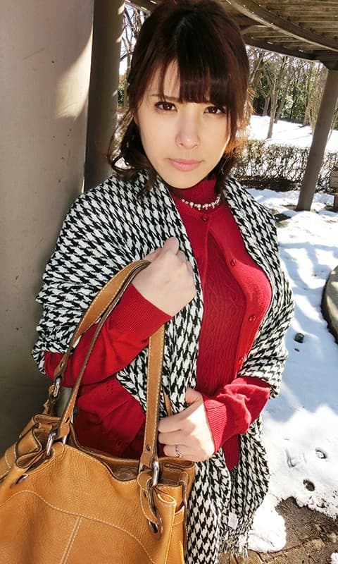 SEX中毒の変態妻 笹崎怜美 サンプル画像 1