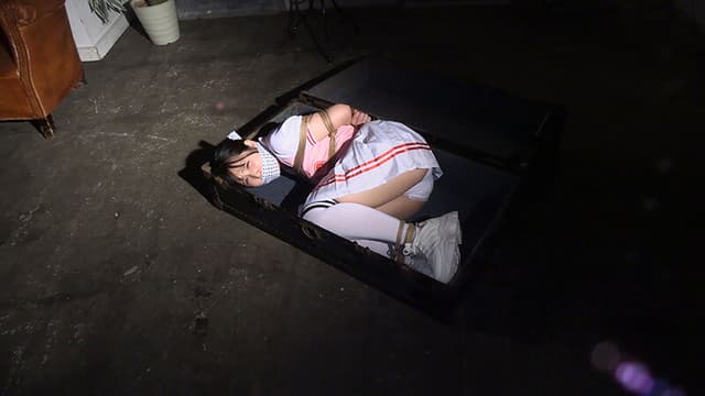 囚われの緊縛令嬢 DIDコレクション2 サンプル画像 1