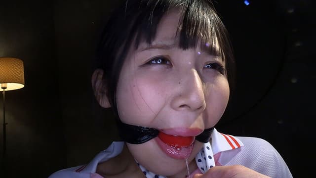 囚われの緊縛令嬢 DIDコレクション2 サンプル画像 2