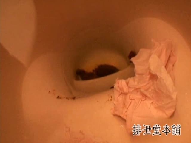 カフェ店長の究極な悪戯 女性客が排泄後、水が出なかったらどうするだろう！？CCDとハンディカメラで覗いてみた！！ サンプル画像 2