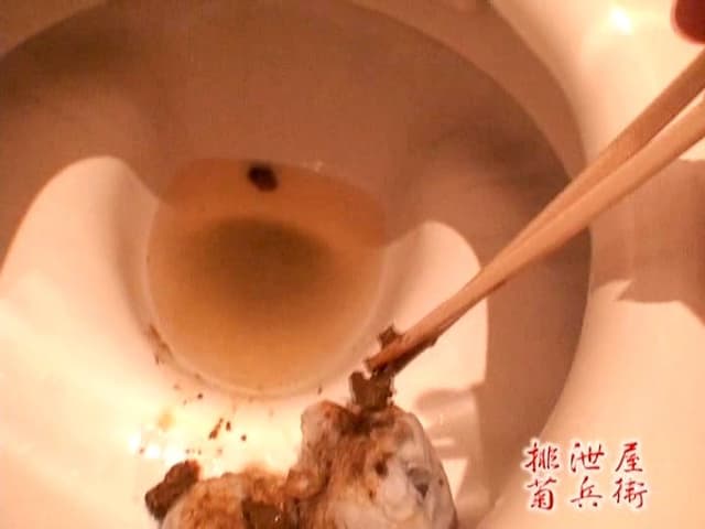 もしも小便・大便した後、トイレが壊れてたことに気づいたら女はどうするのか？ サンプル画像 18