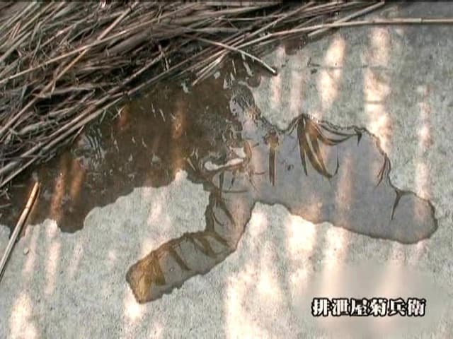 野ションする女たち サンプル画像 2