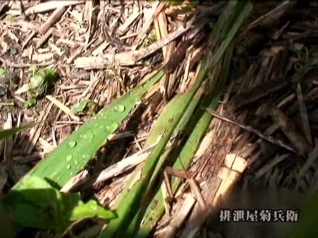 野ションする女たち サンプル画像 20