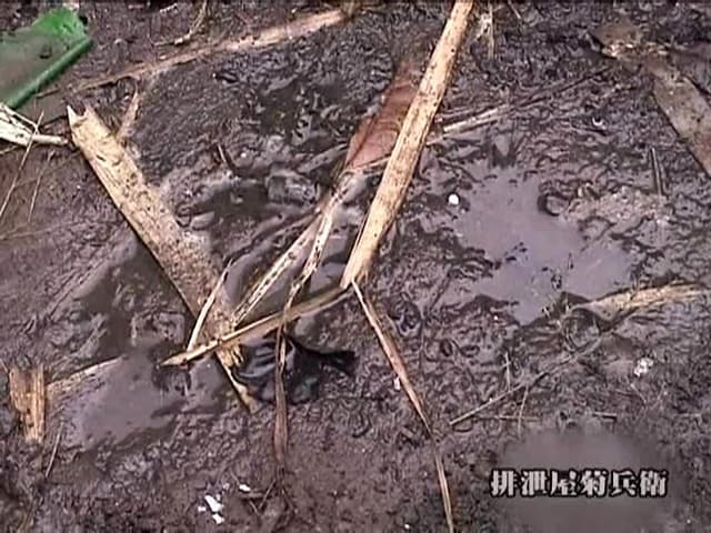 野ションする女たち サンプル画像 8