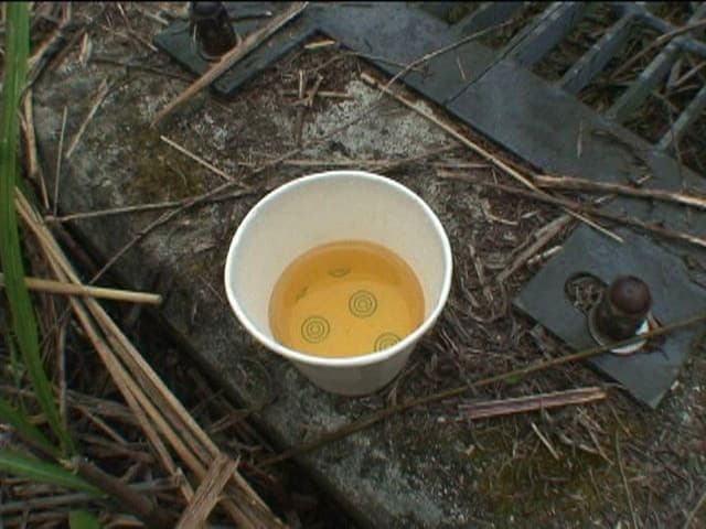公衆トイレが無くて野外放尿してる女をこっそり隠し撮りした後、突撃してマ○コをさわる！DX サンプル画像 4