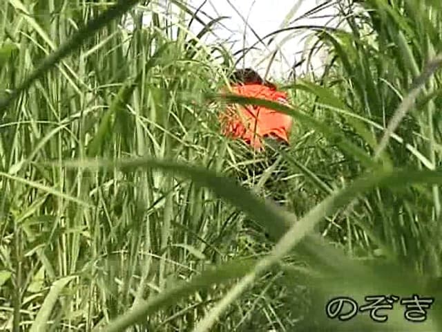 狙い撃ち盗撮！我慢できない女たちの野外放尿！！ サンプル画像 2