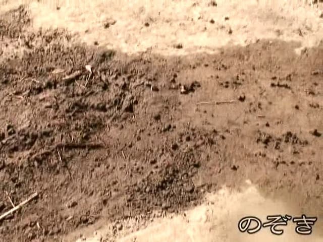 狙い撃ち盗撮！我慢できない女たちの野外放尿！！ サンプル画像 5