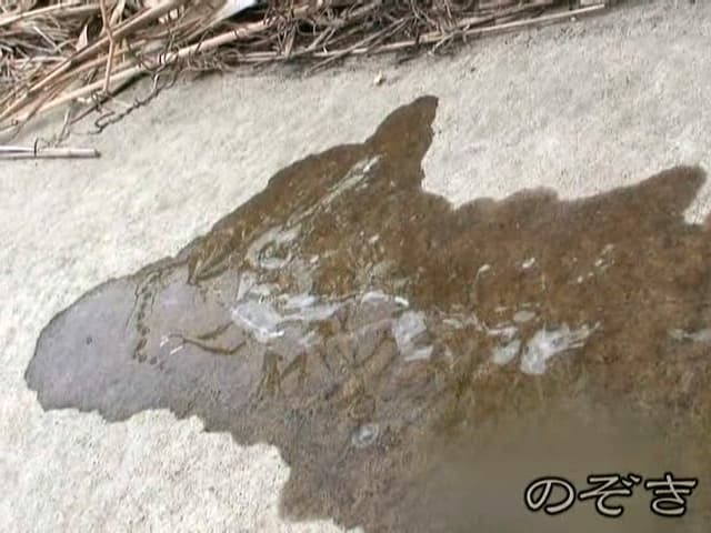 狙い撃ち盗撮！我慢できない女たちの野外放尿！！ サンプル画像 7