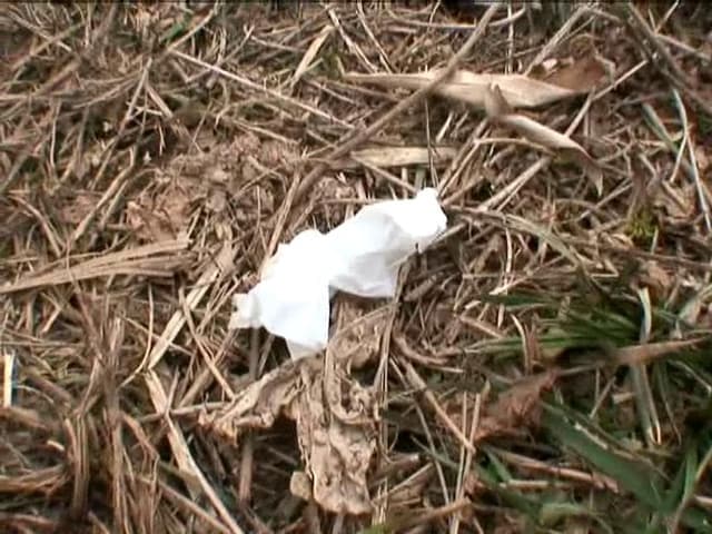 トイレを我慢できず野ションする彼女を激撮！ サンプル画像 18