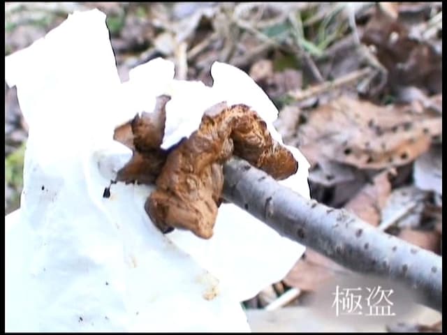撮られてるとも知らずに！もう限界！尻丸出し野外放尿！！ 2 サンプル画像 20