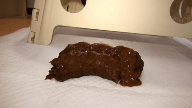 極太激臭大便女 捕獲録 サンプル画像 10